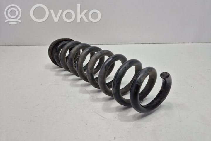 Rear coil spring