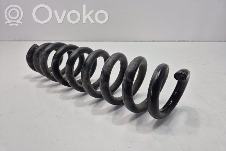 Rear coil spring