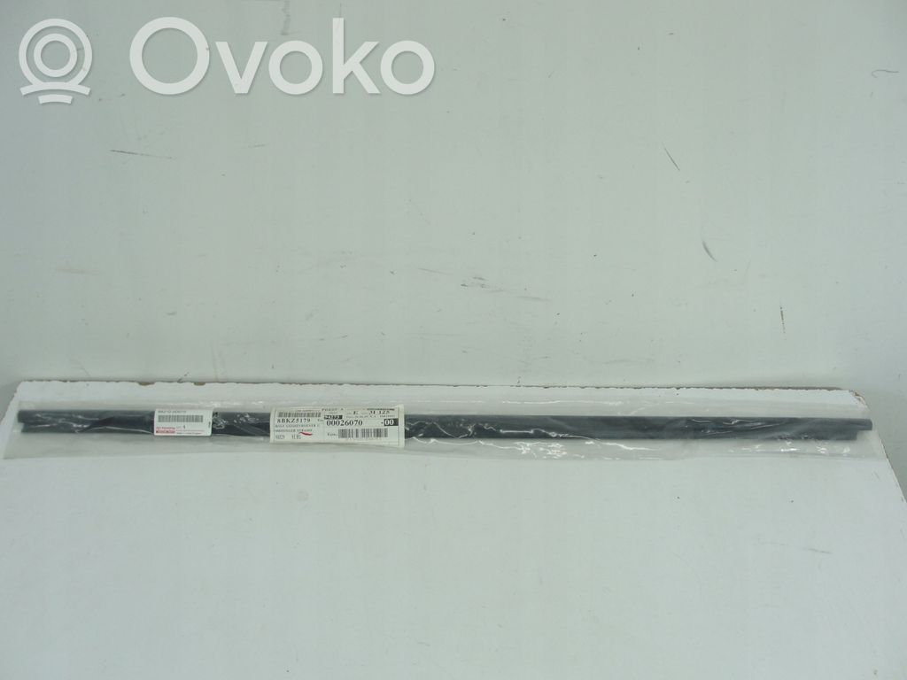 Toyota Yaris Verso Priekšpusē durvju dekoratīvā apdare (moldings) 