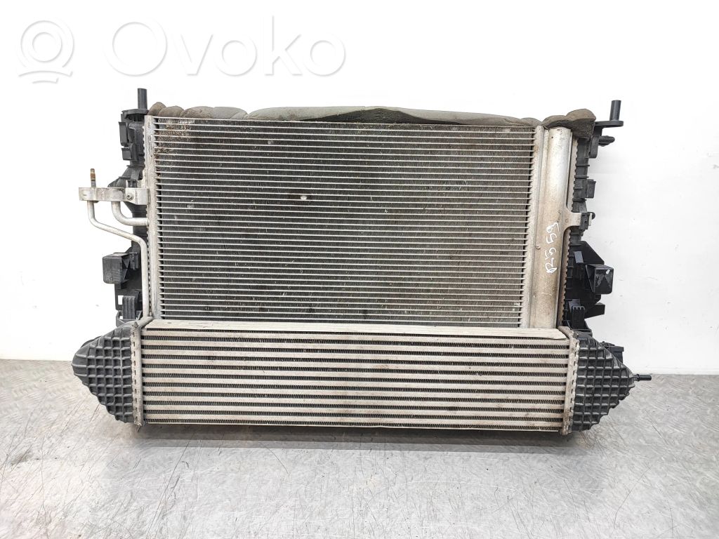 Ford Focus Radiator set 