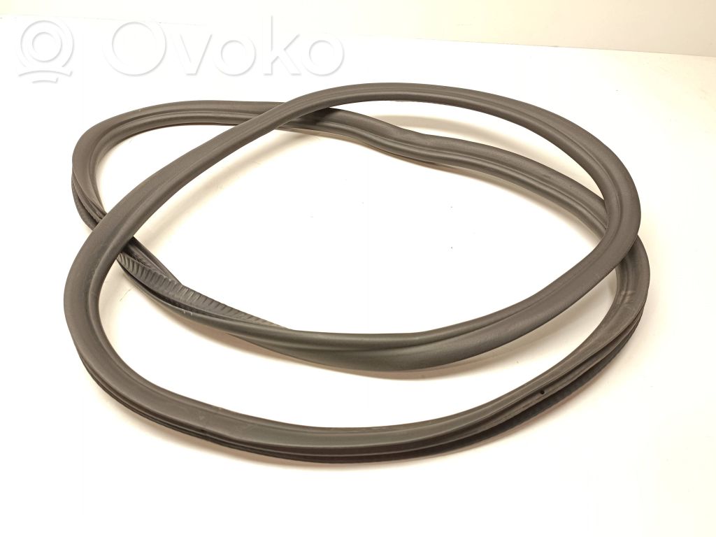 BMW 5 G30 G31 G38 Guarnizione in gomma portiera posteriore (sulla carrozzeria) 