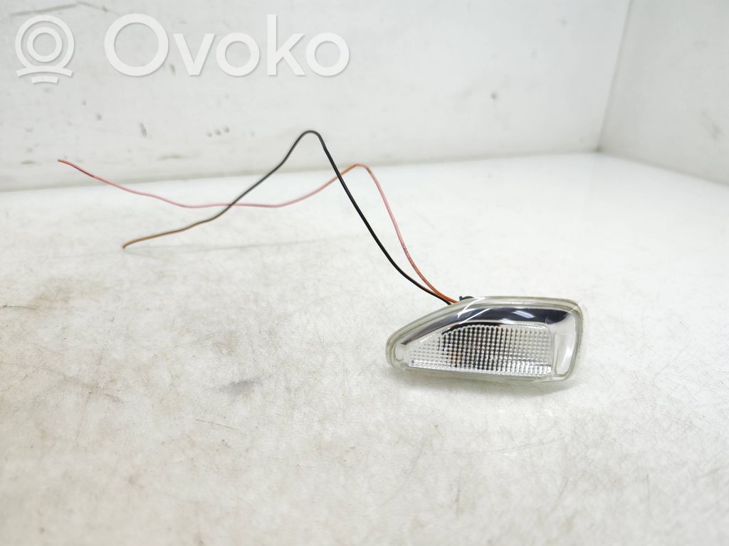 Dacia Sandero II Seitenblinker 