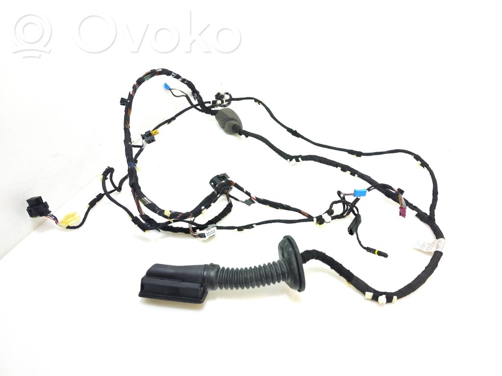 BMW X3 G01 Cableado de puerta delantera 