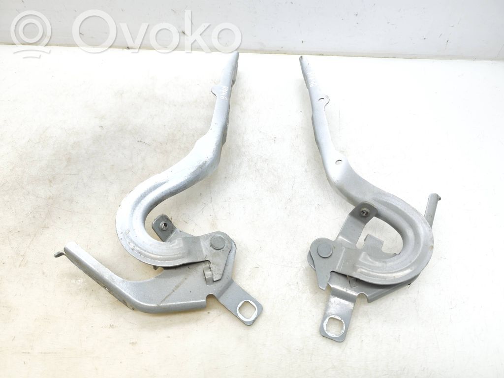 Peugeot Expert Cerniere del vano motore/cofano 