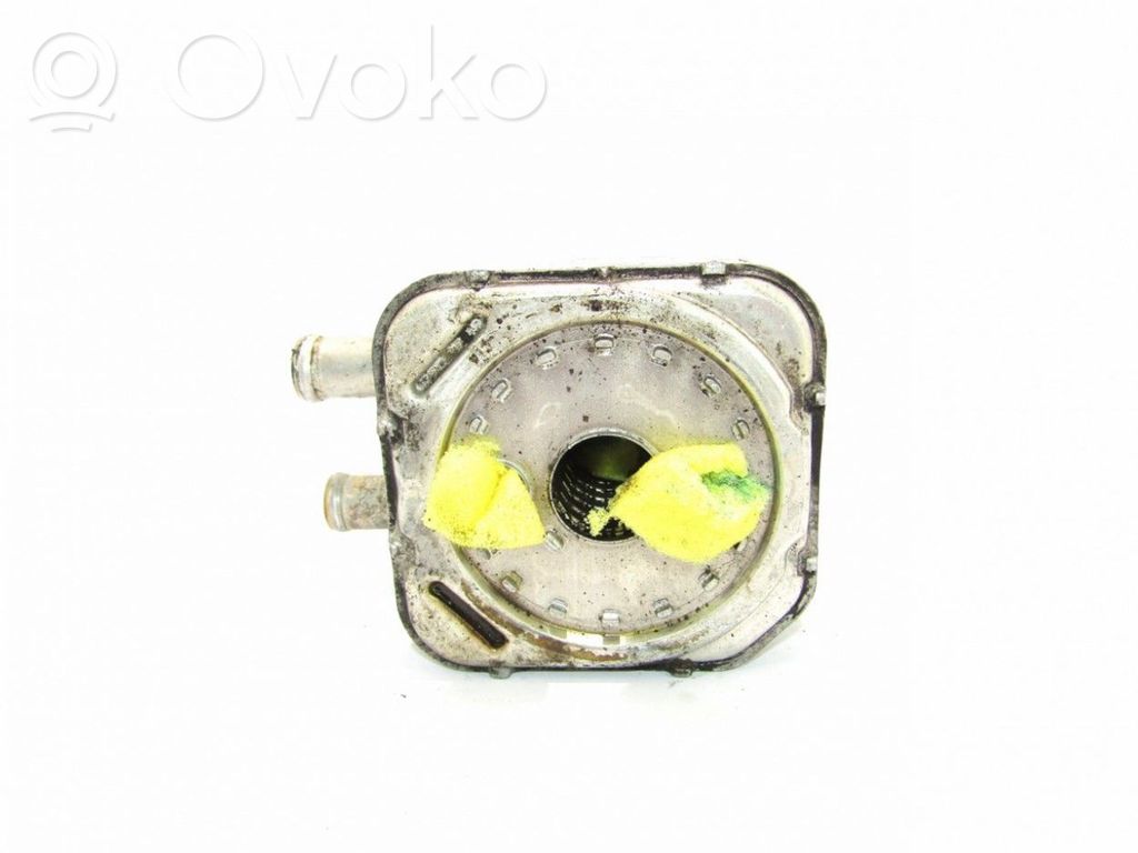 Oil filter mounting bracket