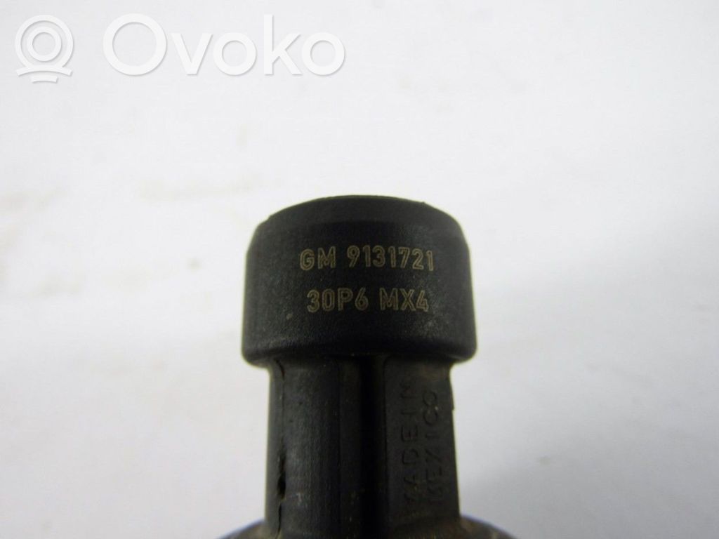 Kitas daviklis   9131721,30P6,MX4