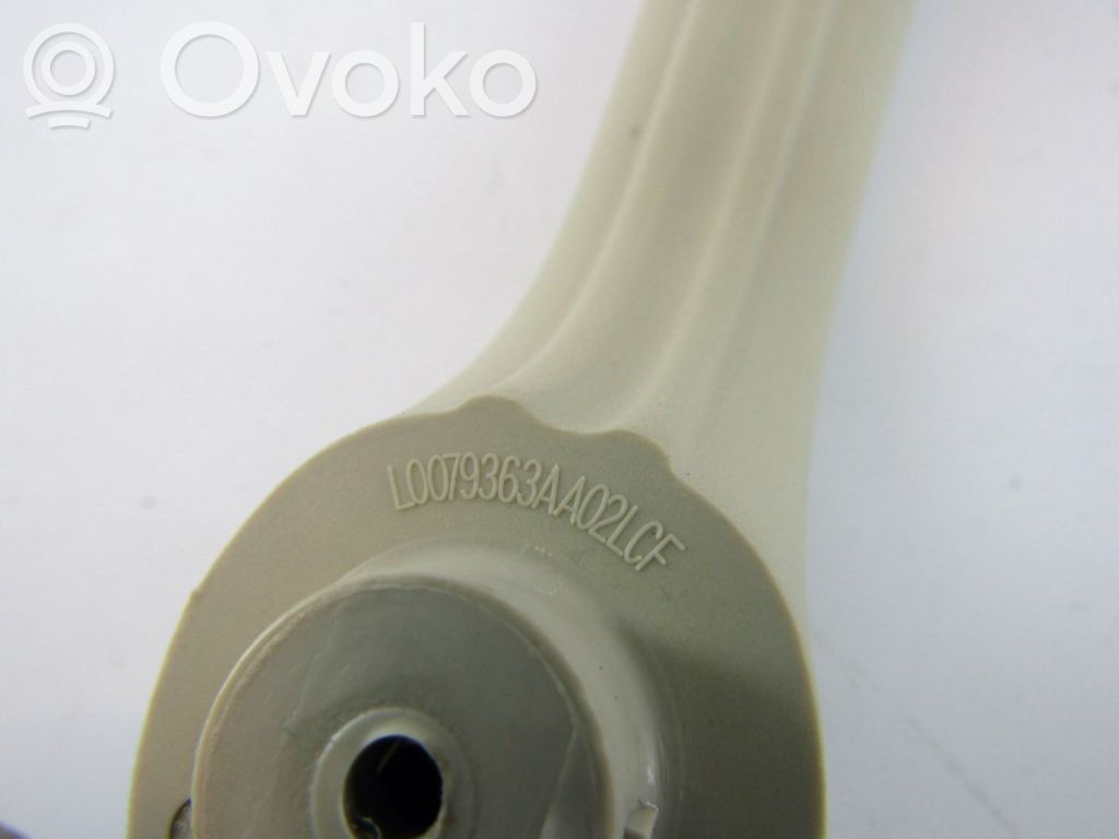 Asidero interior delantero   L0079363AA02LCF
