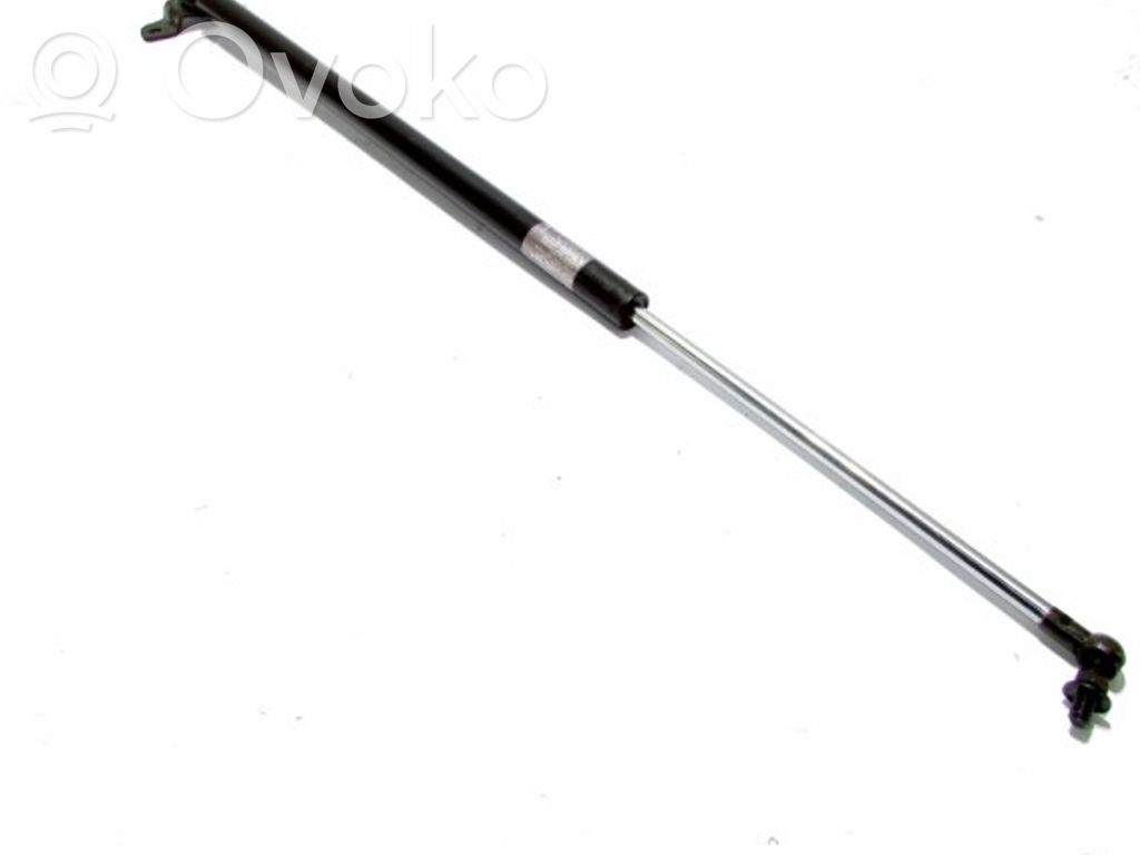 Tailgate/trunk strut/damper