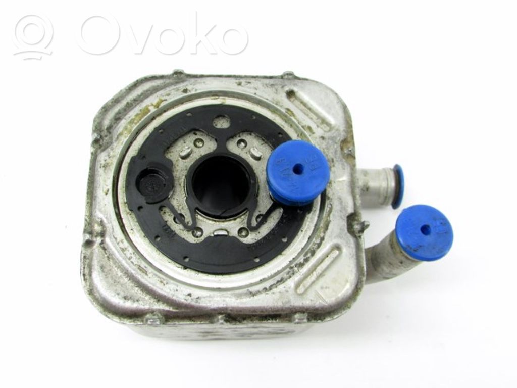 Oil filter mounting bracket