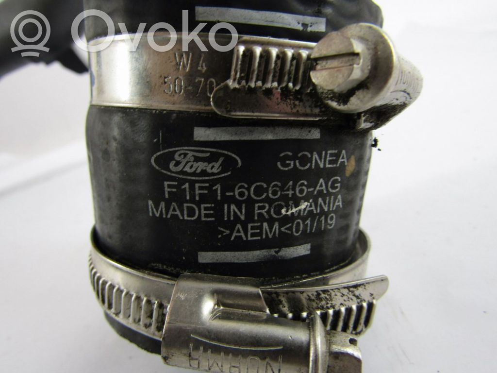 Guía de aire del intercooler   F1F16C646AG