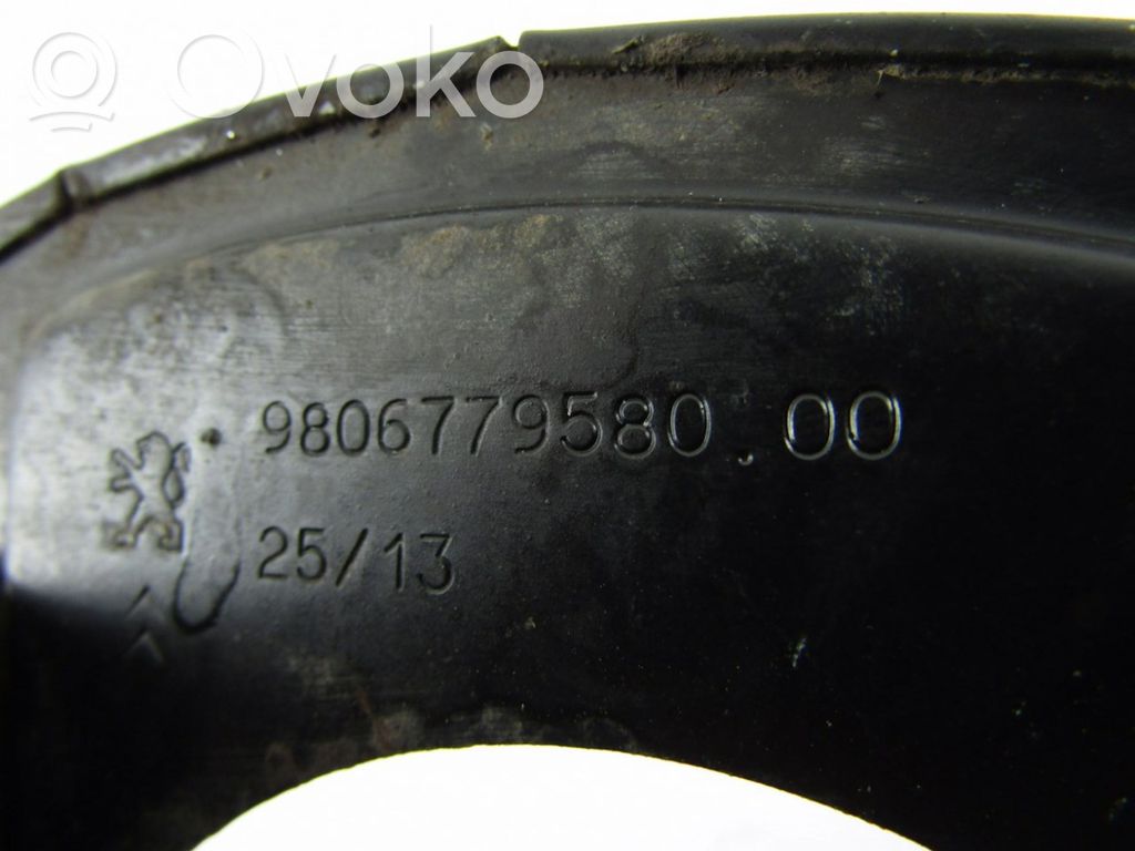 Citroen C4 I Picasso Spritzblech Abdeckblech Ankerblech Bremsen vorne 