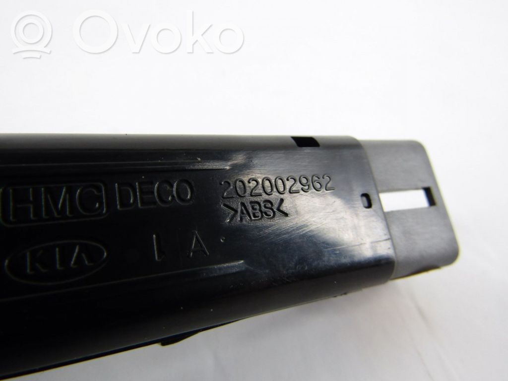Windscreen/window heater switch   202002962