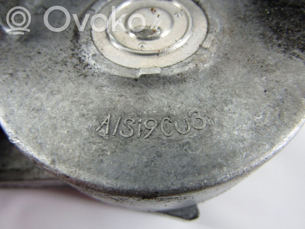 Volkswagen PASSAT B6 Tensor de la correa del alternador 