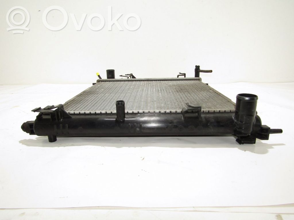 Nissan Juke I F15 Radiator lichid răcire