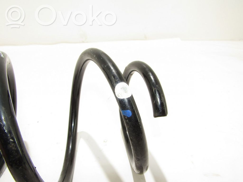 Front coil spring   KODO,NERA