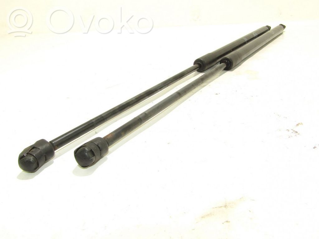 Tailgate/trunk strut/damper   AM51U406A10AF