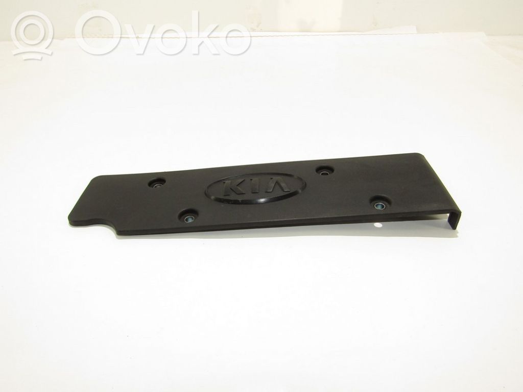 Engine cover (trim)   224052B010