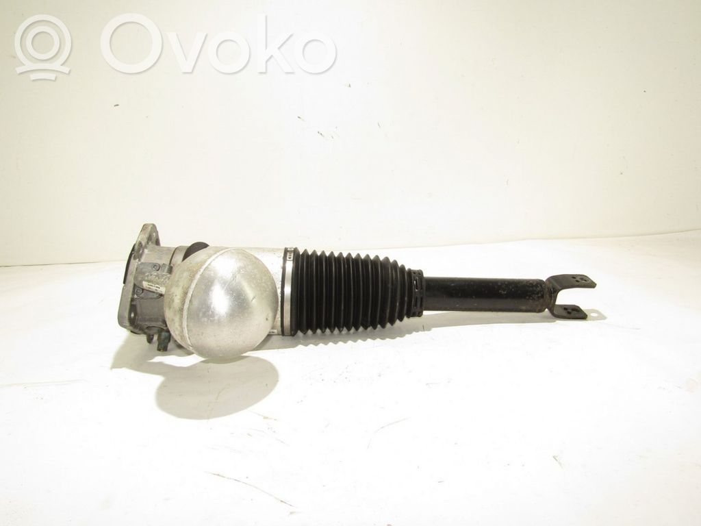 Stoßdämpfer hinten   3D0616002K