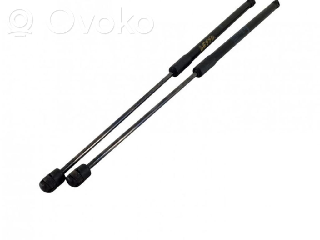 Tailgate/trunk strut/damper   8V4827552