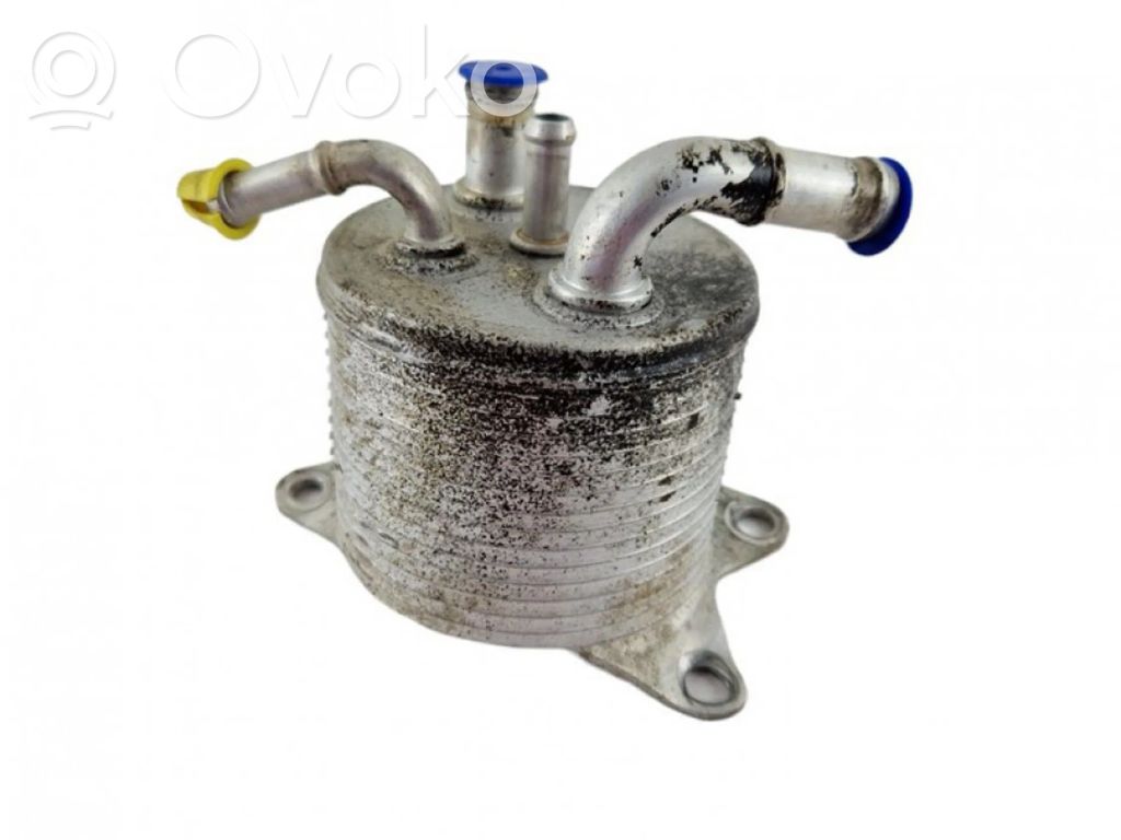 Oil filter mounting bracket