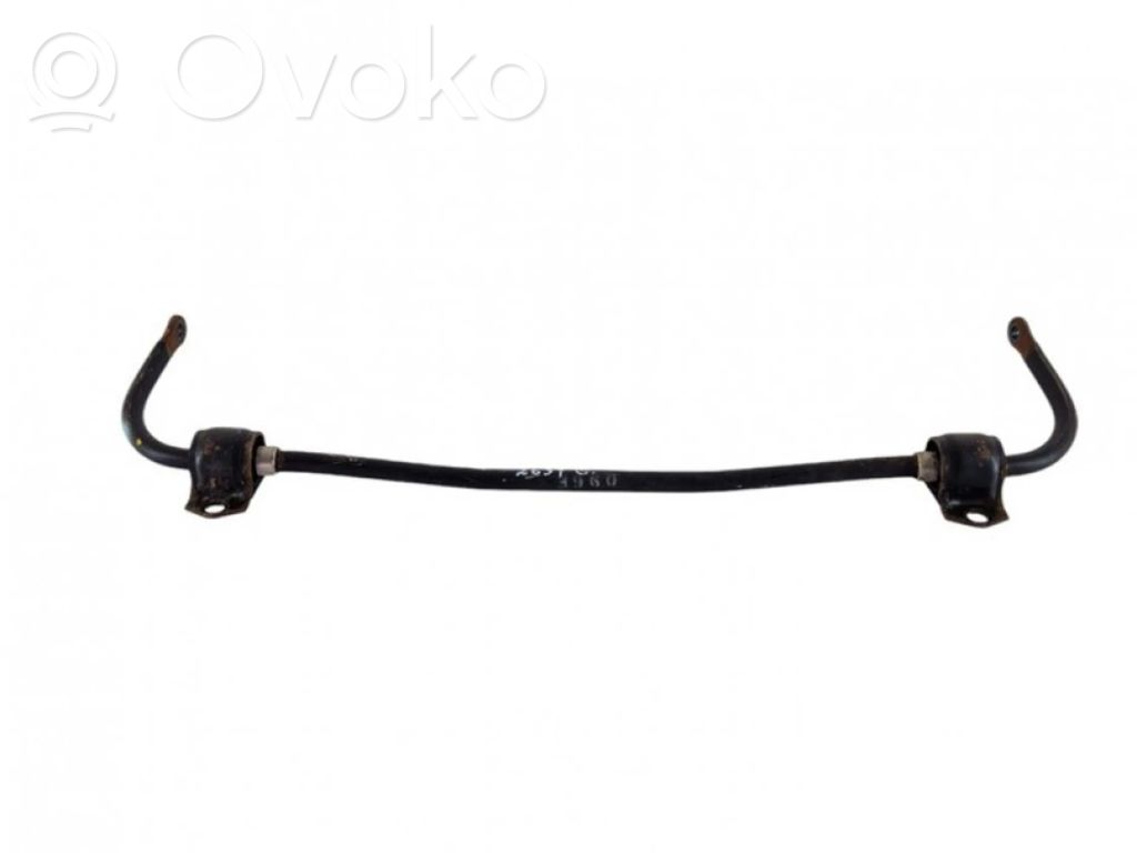 Stabilisator hinten