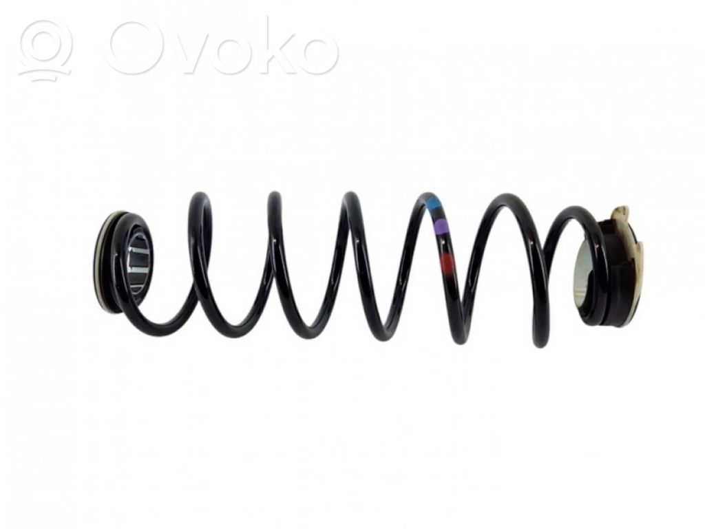 Muelle espiral trasero
