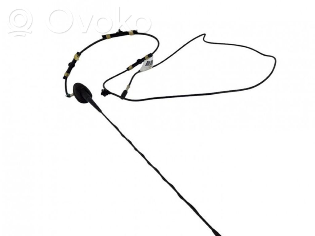 Radion antenni   51814137