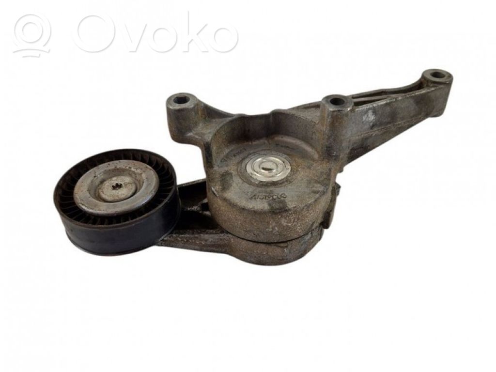 Skoda Octavia Mk2 (1Z) Tendicinghia dell’alternatore