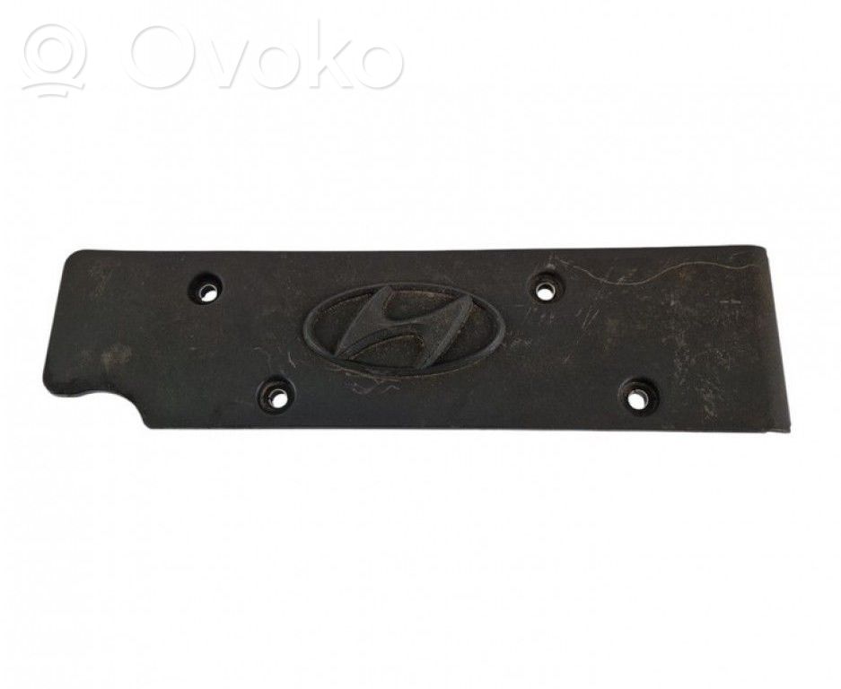 Moottorin koppa   224052B000