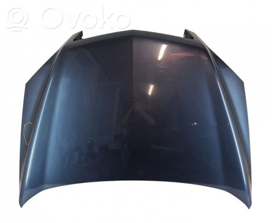Opel Antara Vano motore/cofano