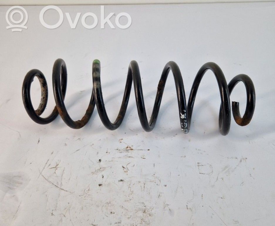 Muelle espiral trasero