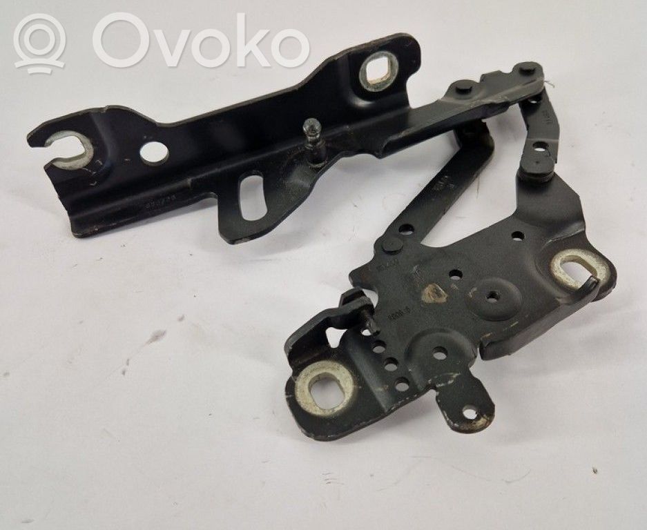 BMW 3 F30 F35 F31 Cerniere del vano motore/cofano