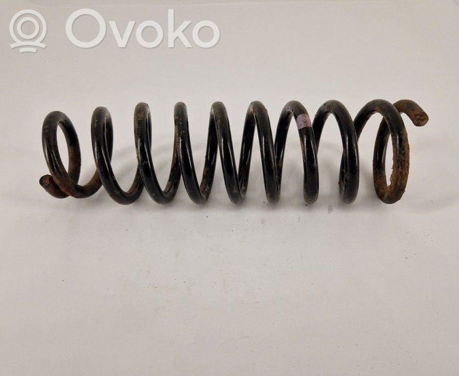 Muelle espiral trasero