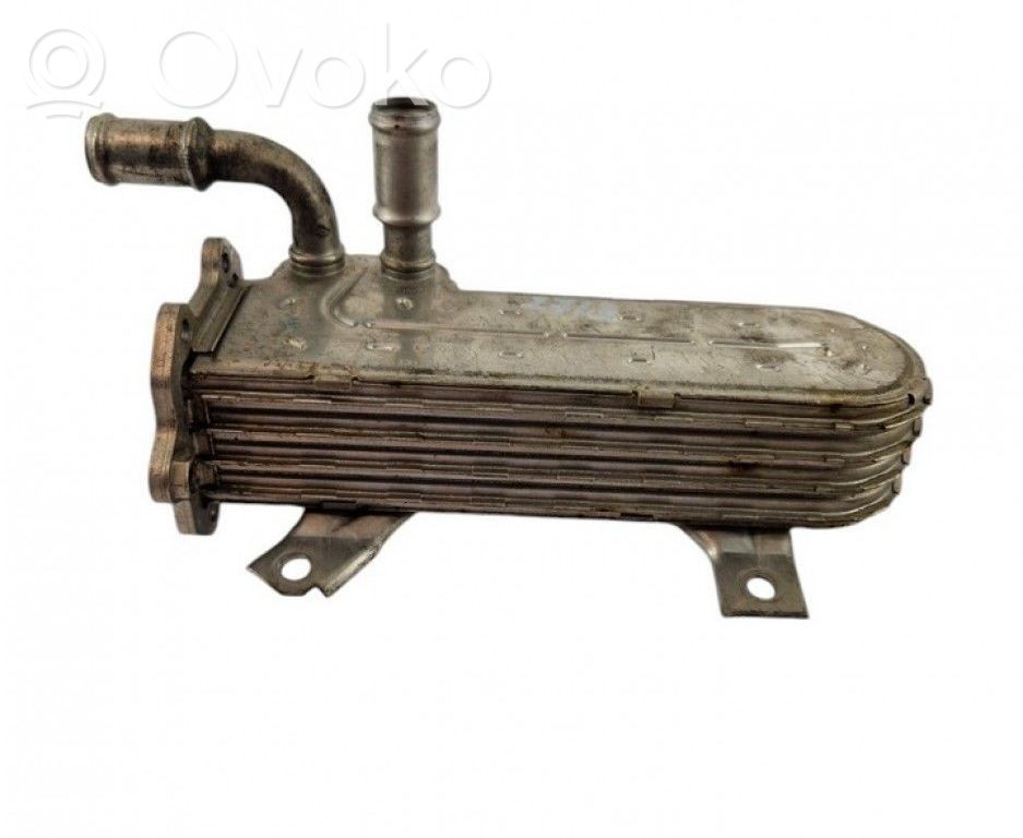 Volkswagen PASSAT B6 Refroidisseur de vanne EGR