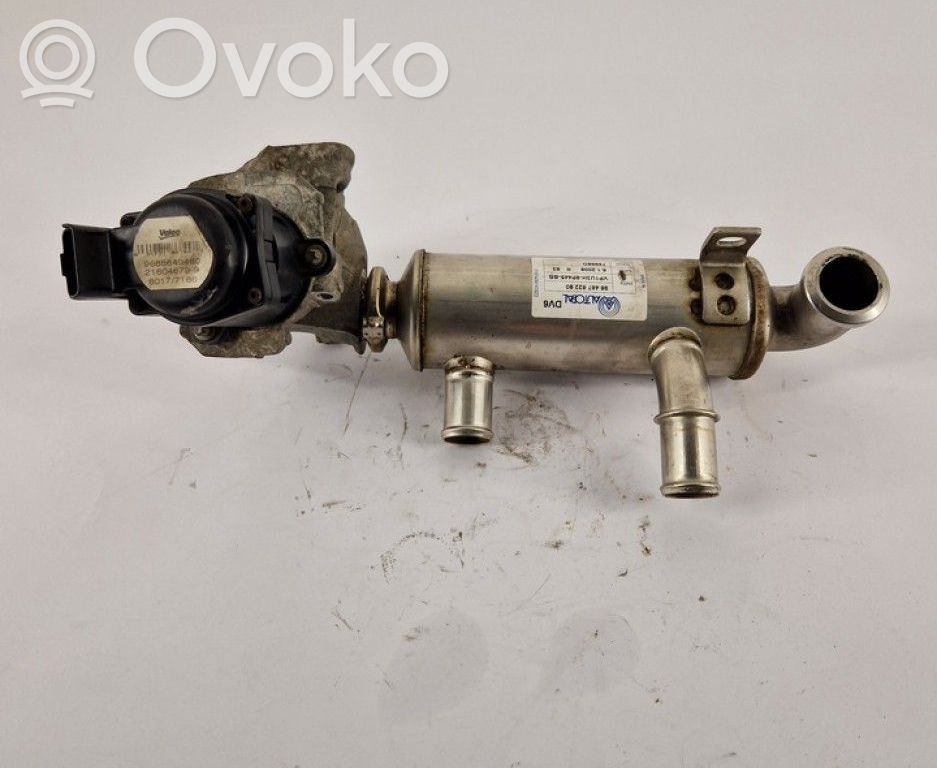 Citroen C4 I Răcitor supapă EGR 