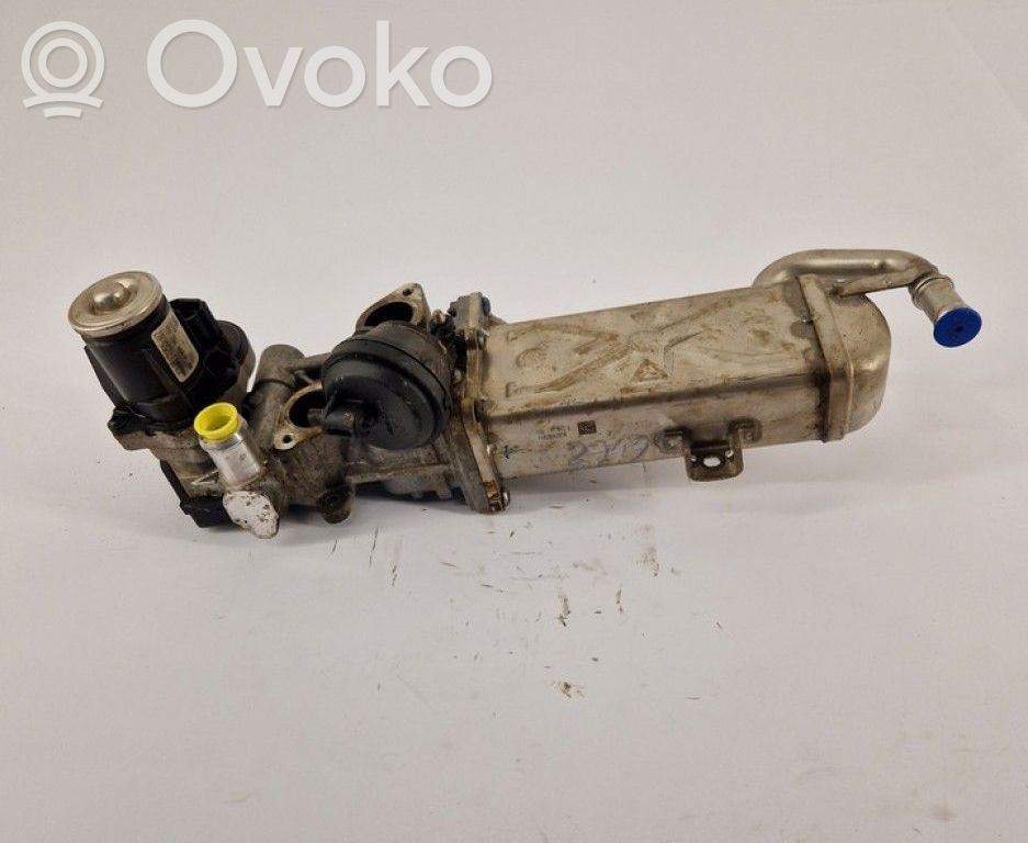 Volkswagen Golf VI Valvola EGR
