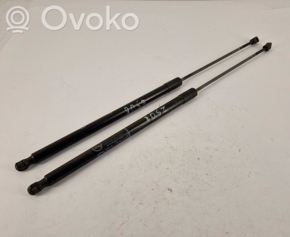 Ford C-MAX II Ammortizzatore portellone posteriore/bagagliaio 