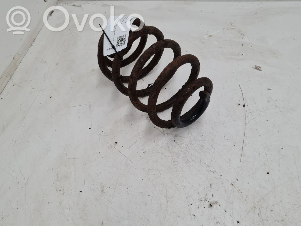 Rear coil spring