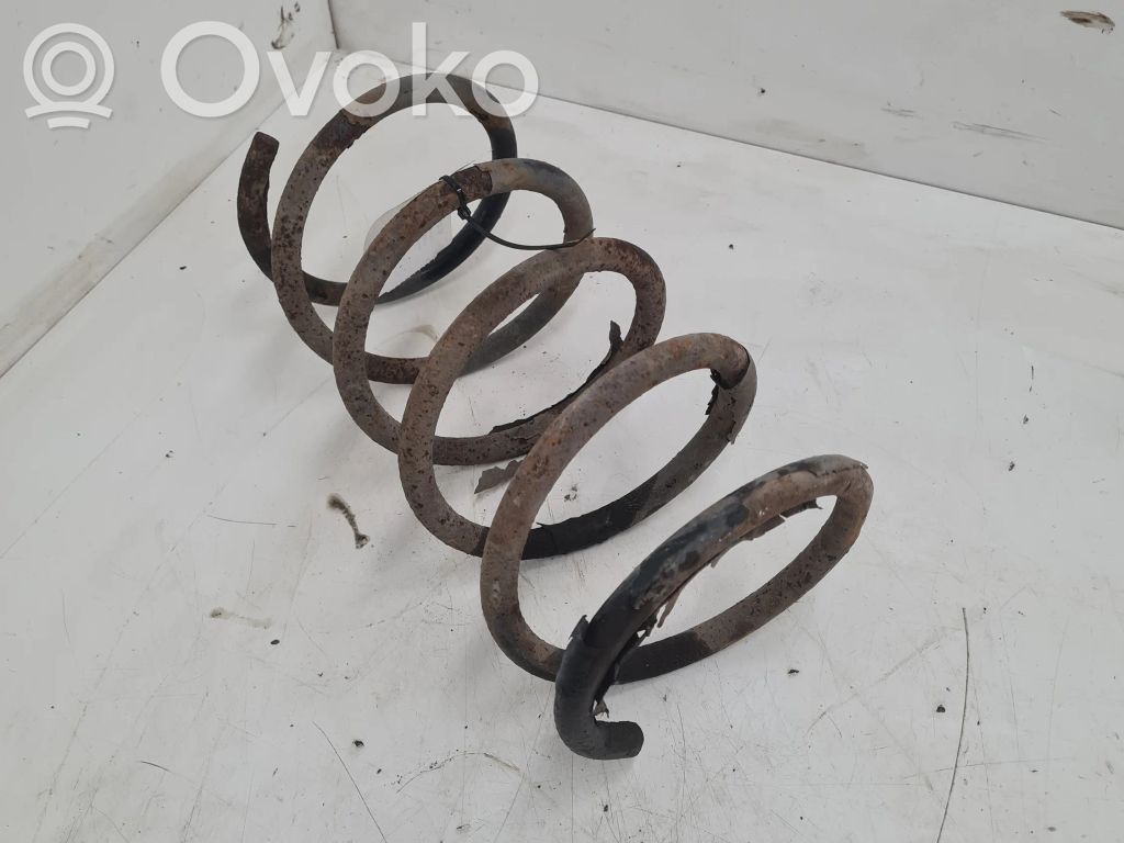 Rear coil spring