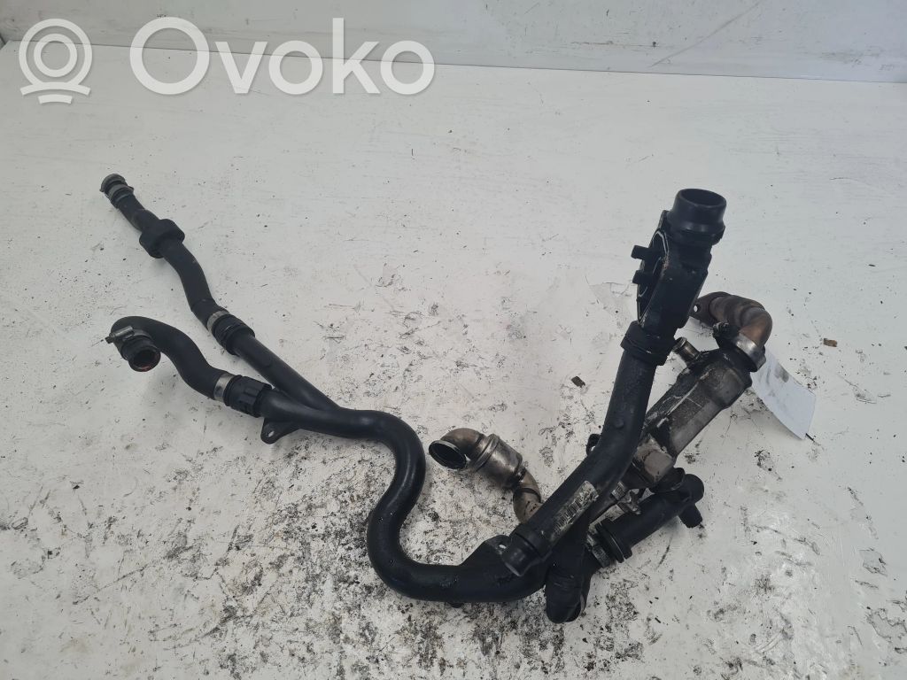 BMW 3 E46 EGR dzesētājs 