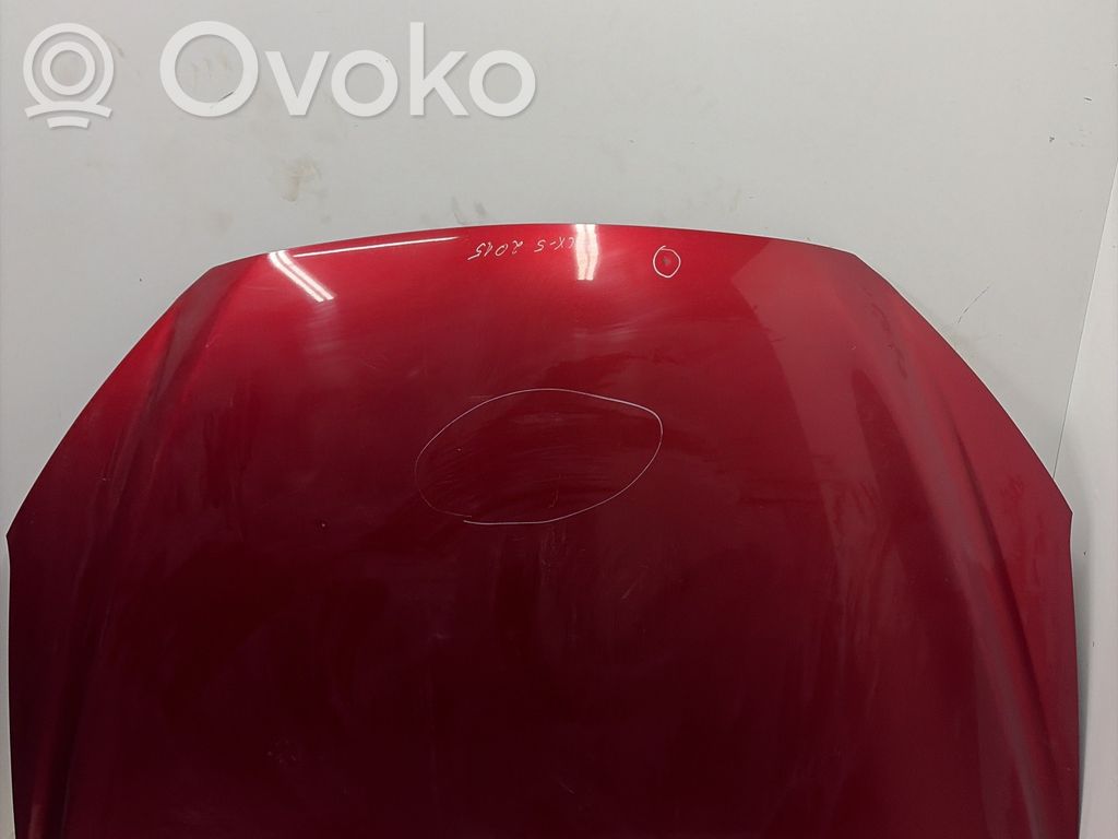 Engine bonnet/hood