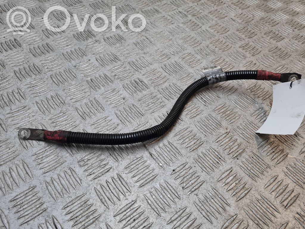 Negative earth cable (battery)   552600,61070268