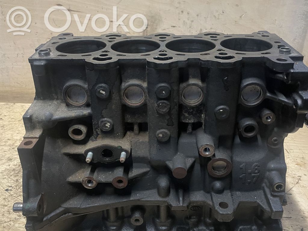 KIA Sportage Bloque de motor 