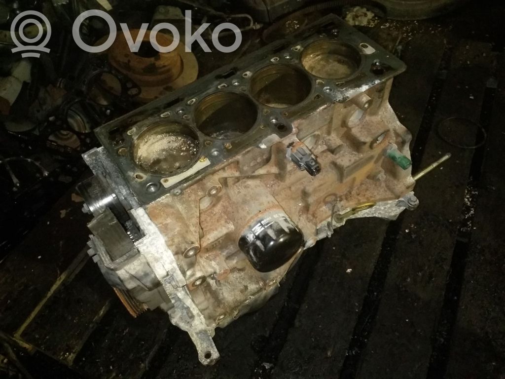 Renault Scenic I Blokas 