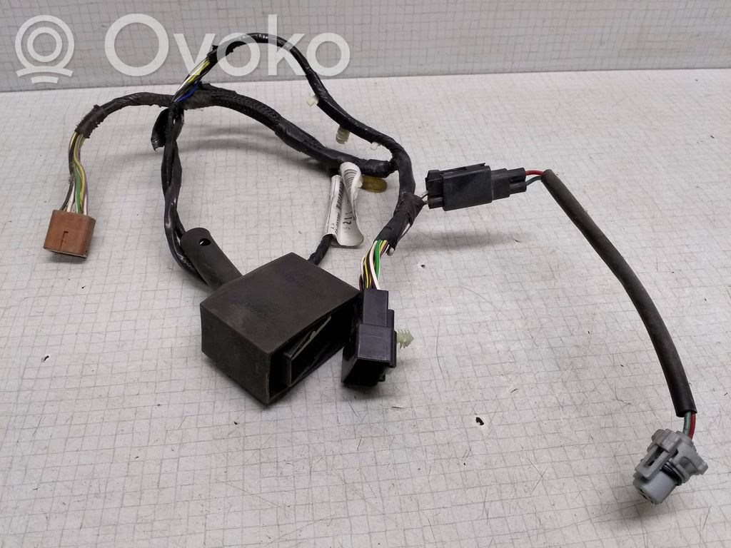 Cableado de puerta delantera   YC1T014A631,11374966