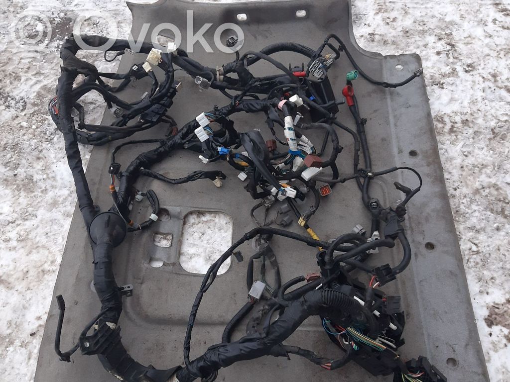 Subaru Outback Other wiring loom 