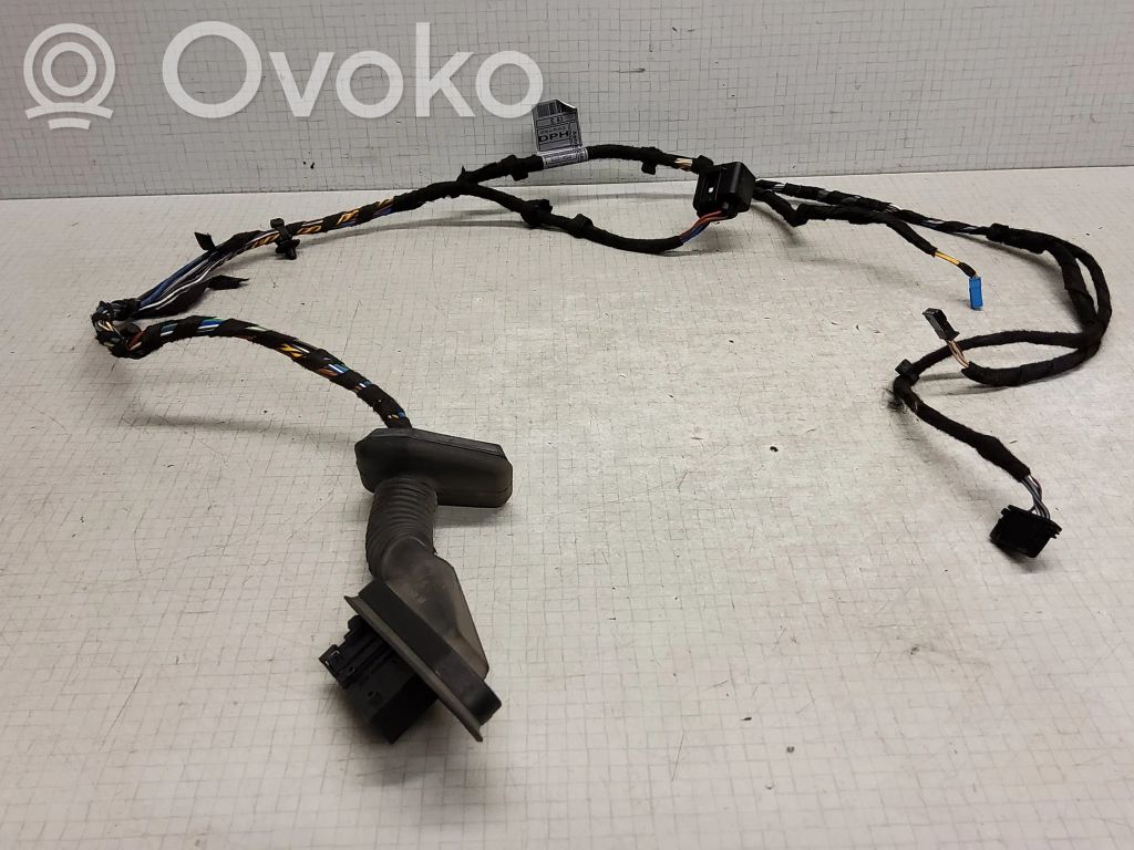 BMW X3 E83 Cableado de puerta trasera 