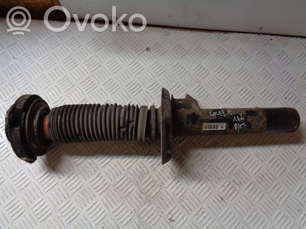 Volkswagen Golf Plus Amortyzator przedni 