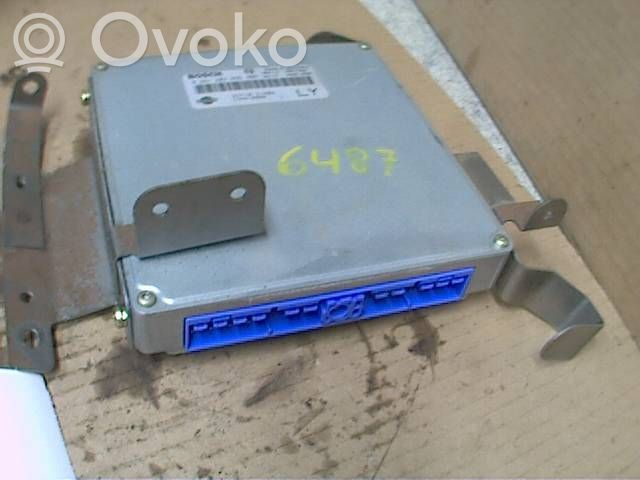 Injection control unit/module   0261203855