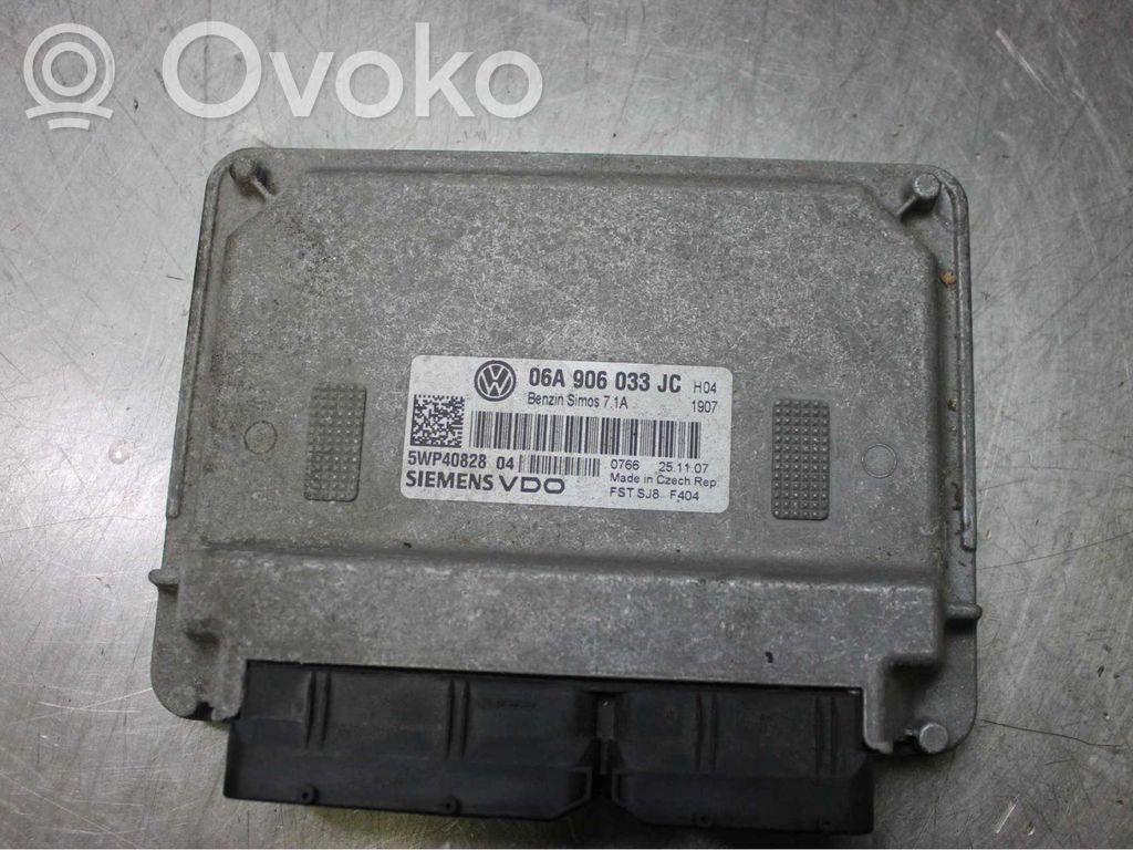 Seat Leon (1P) Injection control unit/module 